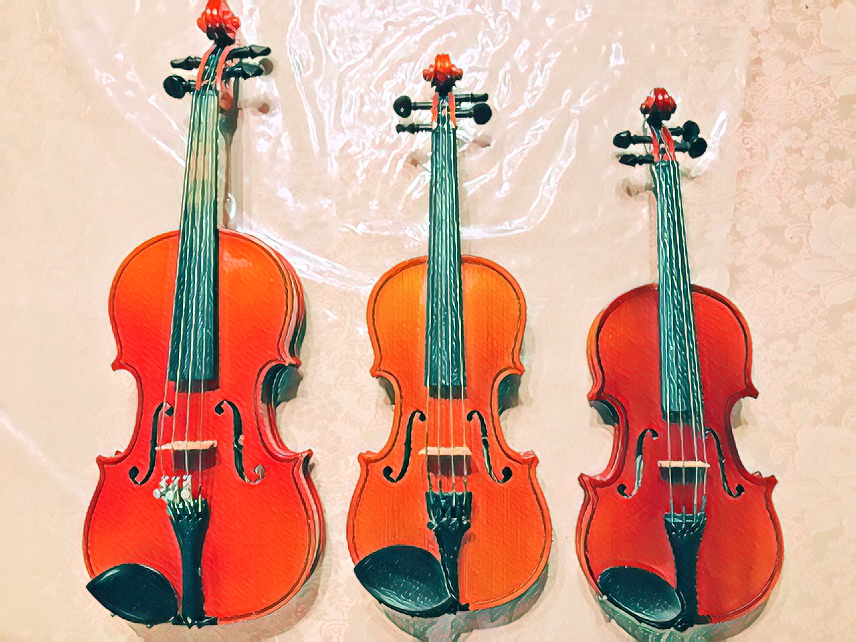 分数バイオリン購入記録(1/8サイズ) おすすめ楽器も | バスオさんの部屋